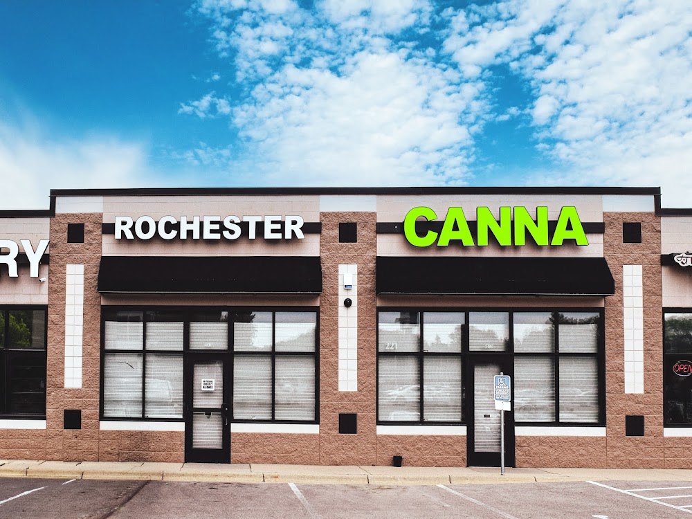 Rochester Canna photo 1