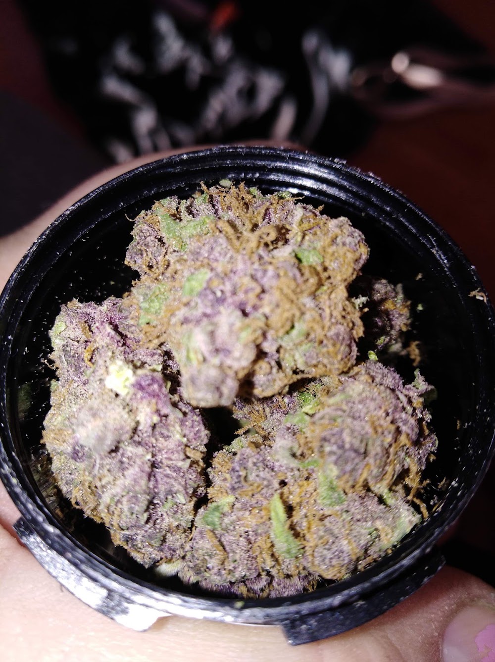Rocky Farms photo 2