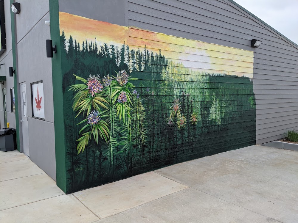 Rocky's Pot Shop photo 1