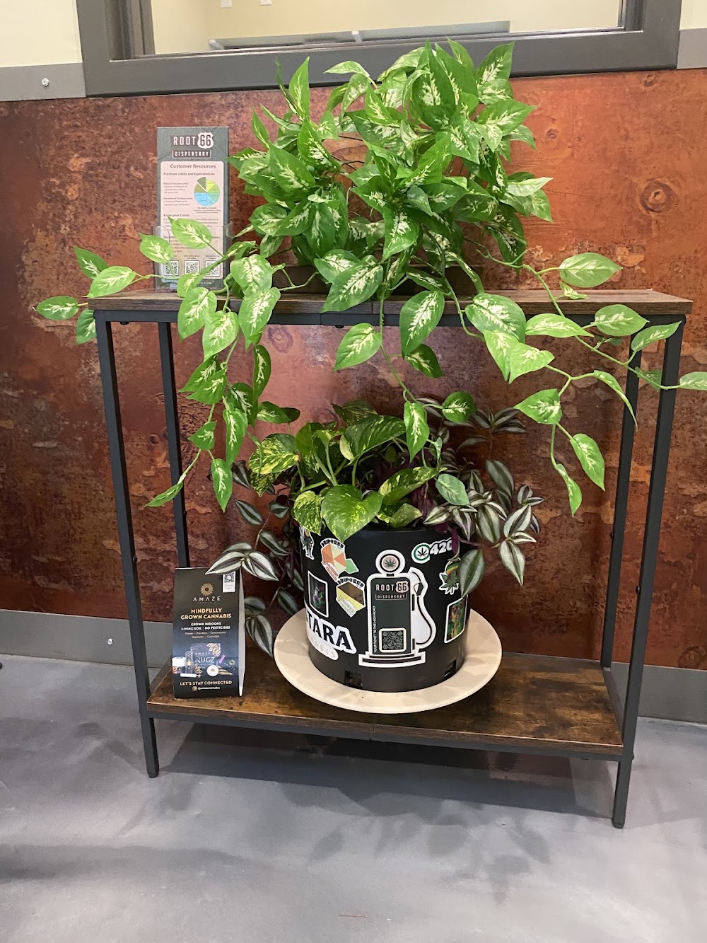 Root 66 Dispensary photo 6