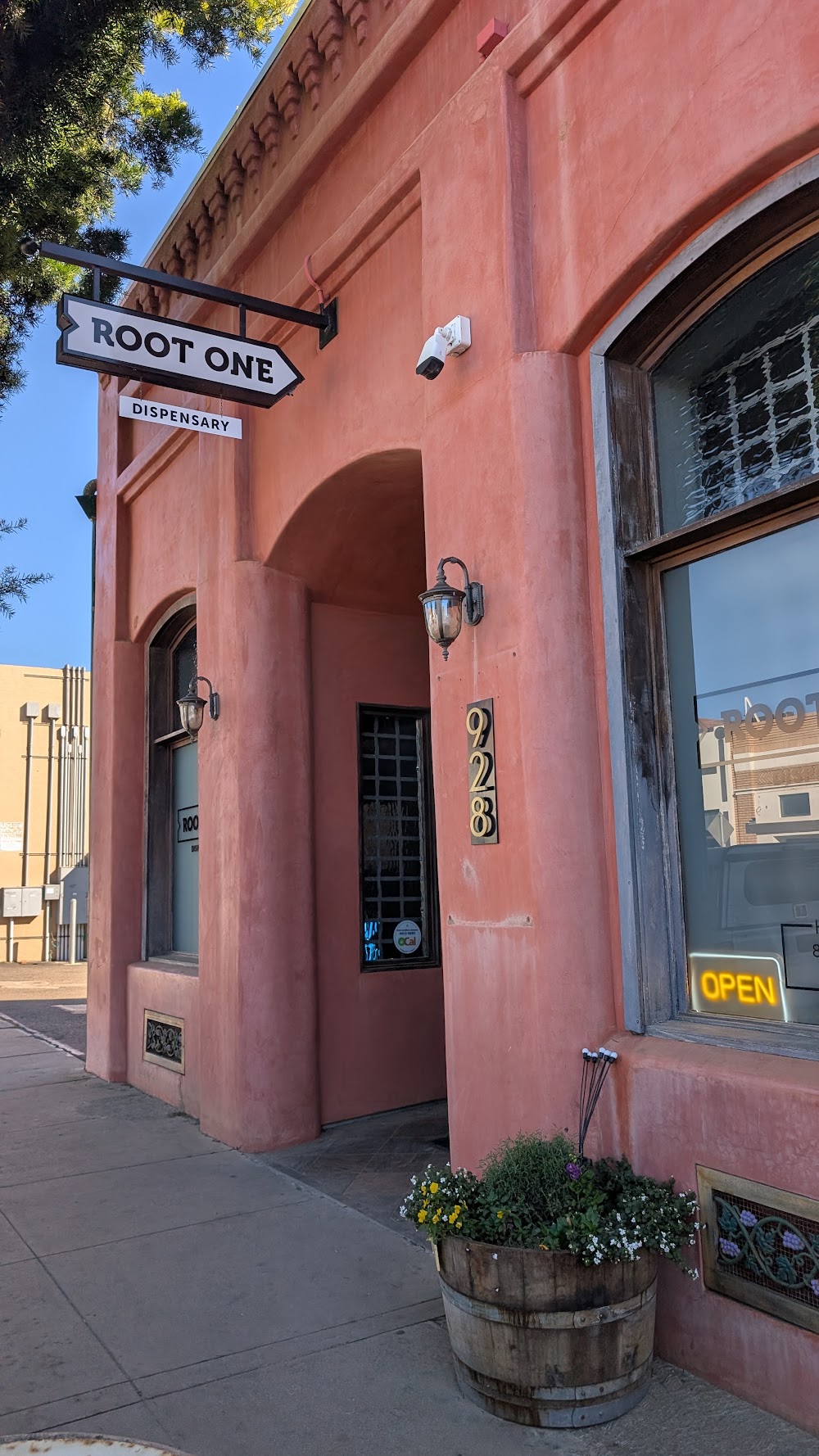 Root One photo 1