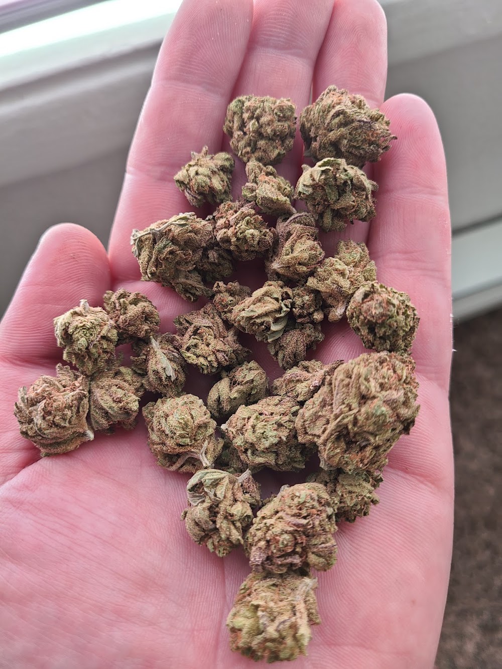 Rooted Coast Cannabis photo 2