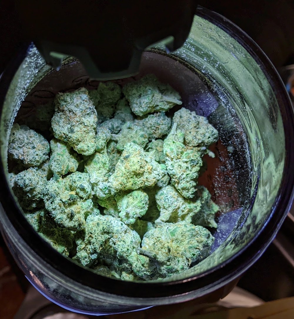 Rooted Coast Cannabis photo 5