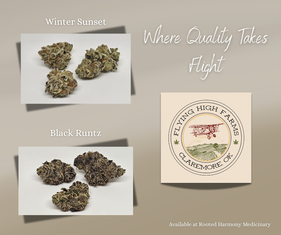 Rooted Harmony Medicinary photo 6