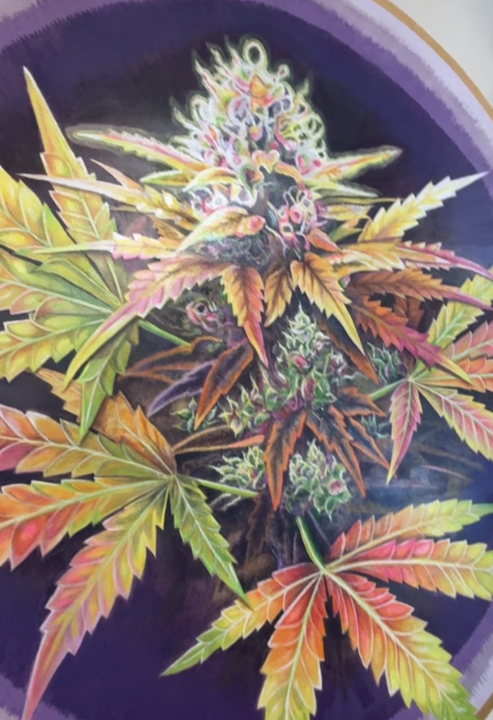 Royal Buds photo 7