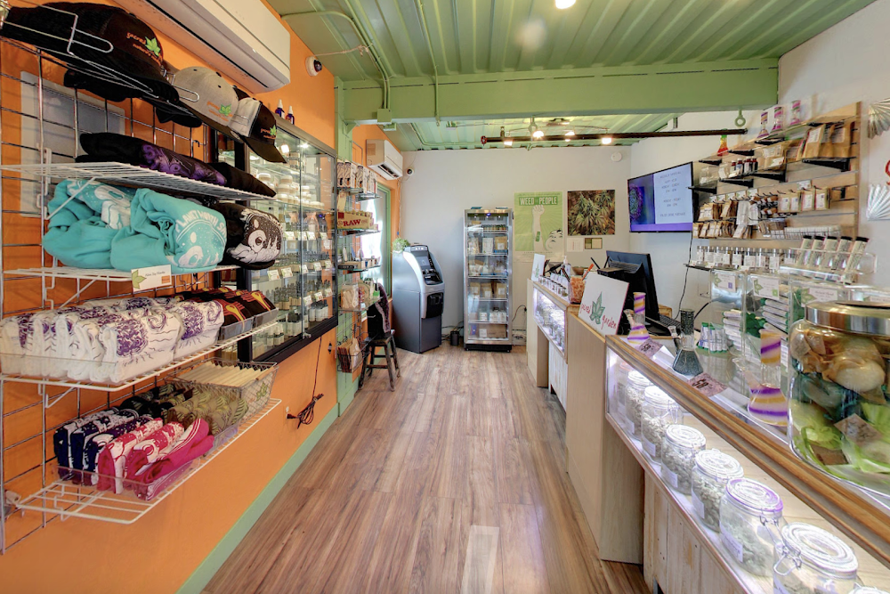 Sacred Garden - Green Jeans photo 5