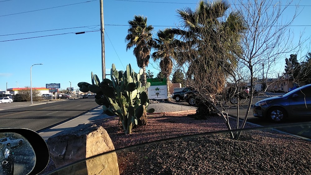 Sacred Garden - Las Cruces photo 6