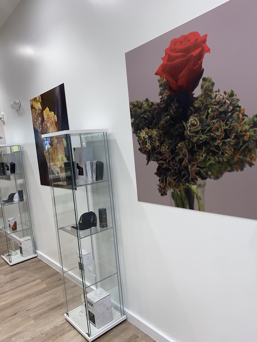 Sanctuary Cannabis photo 3