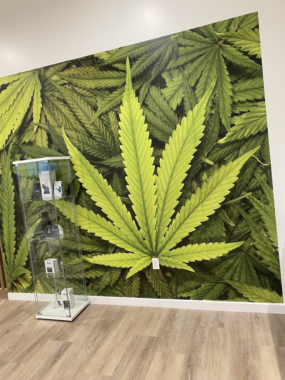 Sanctuary Cannabis photo 5