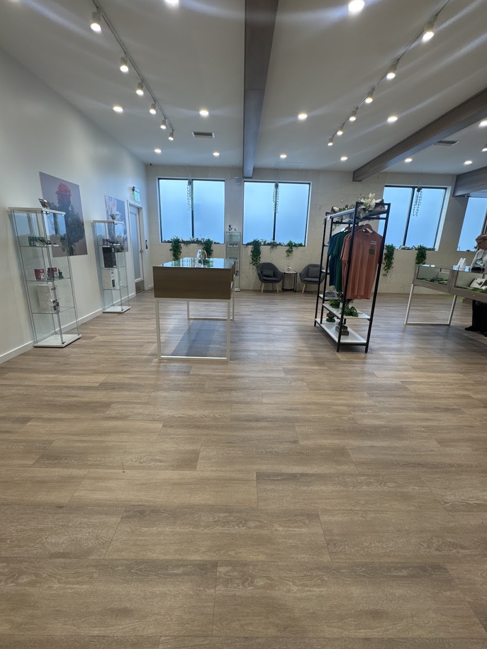 Sanctuary Cannabis photo 7