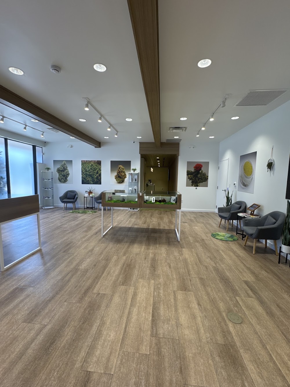 Sanctuary Cannabis photo 3
