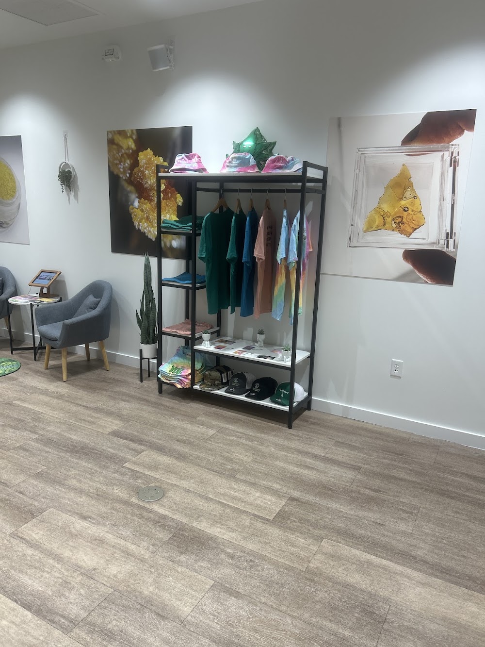 Sanctuary Cannabis photo 6