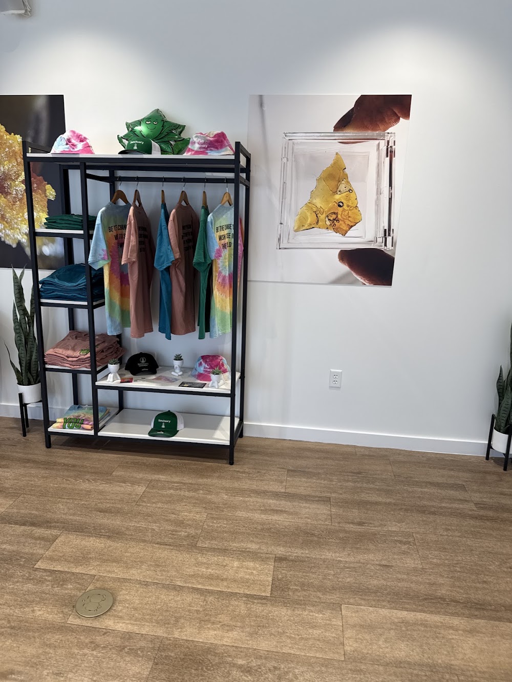 Sanctuary Cannabis photo 8