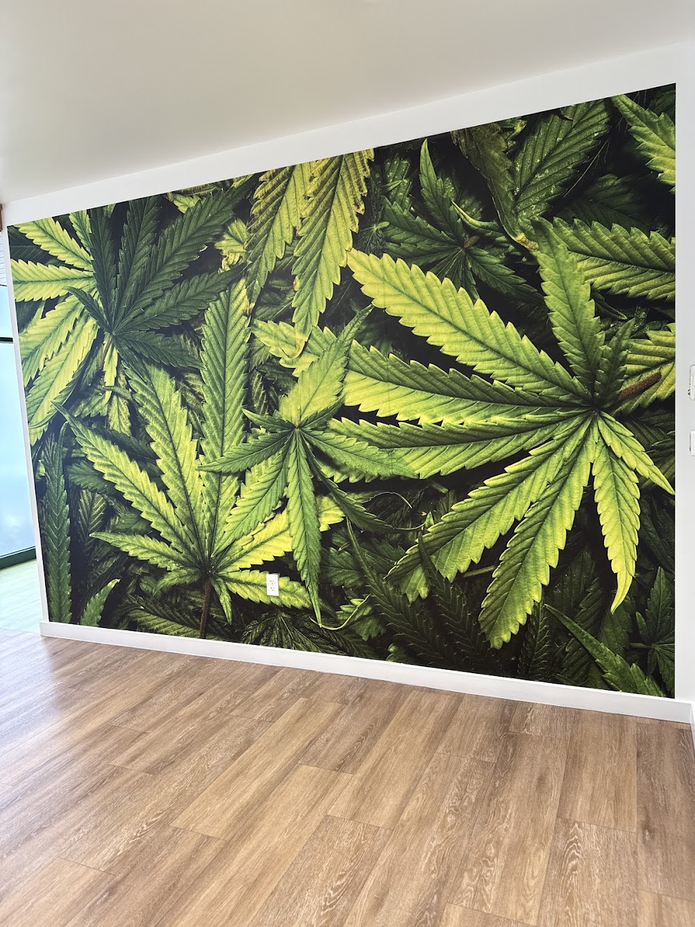 Sanctuary Cannabis photo 7