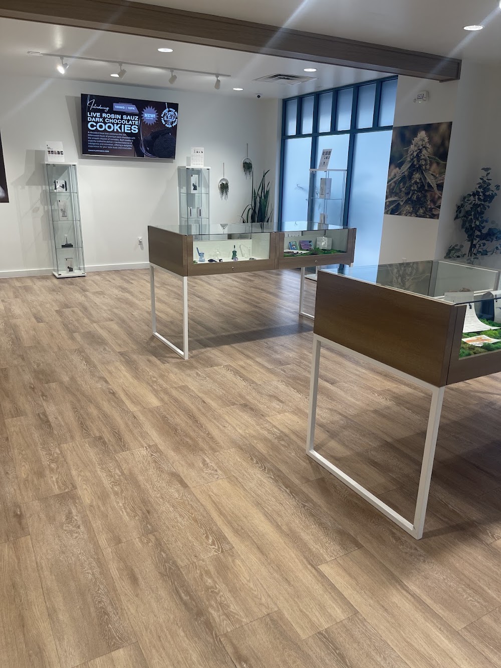 Sanctuary Cannabis photo 8