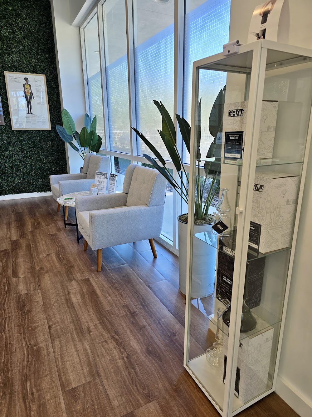 Sanctuary Cannabis photo 8
