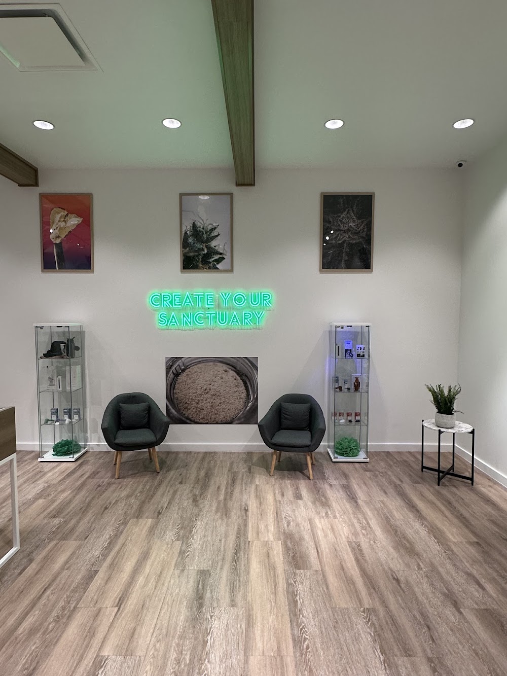 Sanctuary Cannabis photo 8