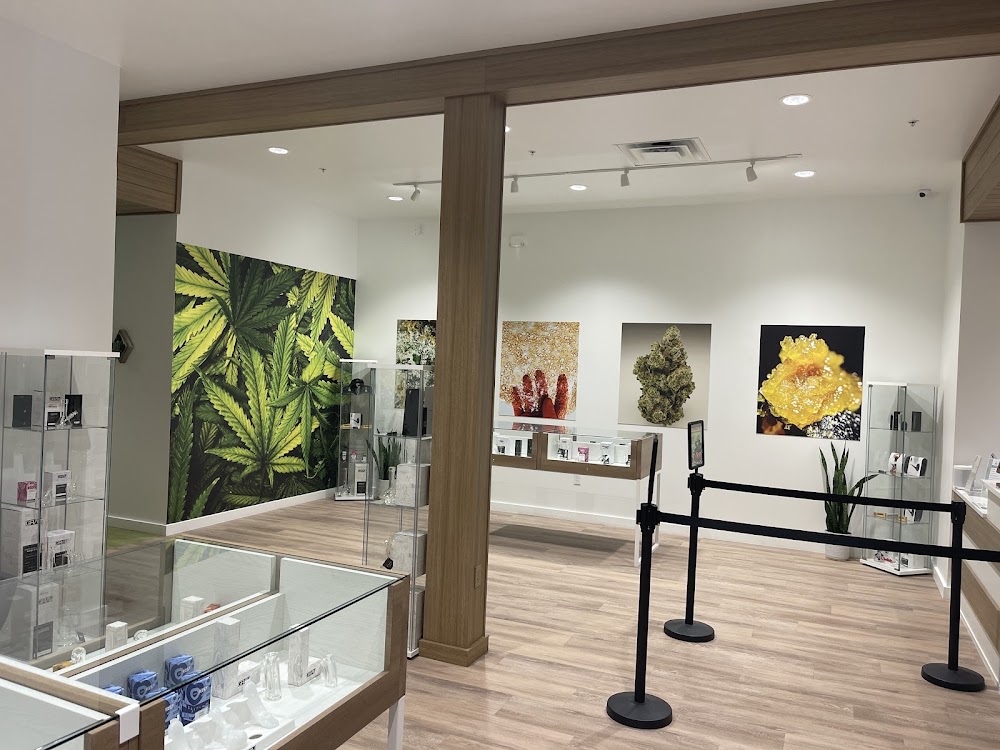 Sanctuary Cannabis photo 3