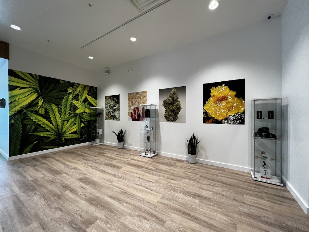 Sanctuary Cannabis photo 6