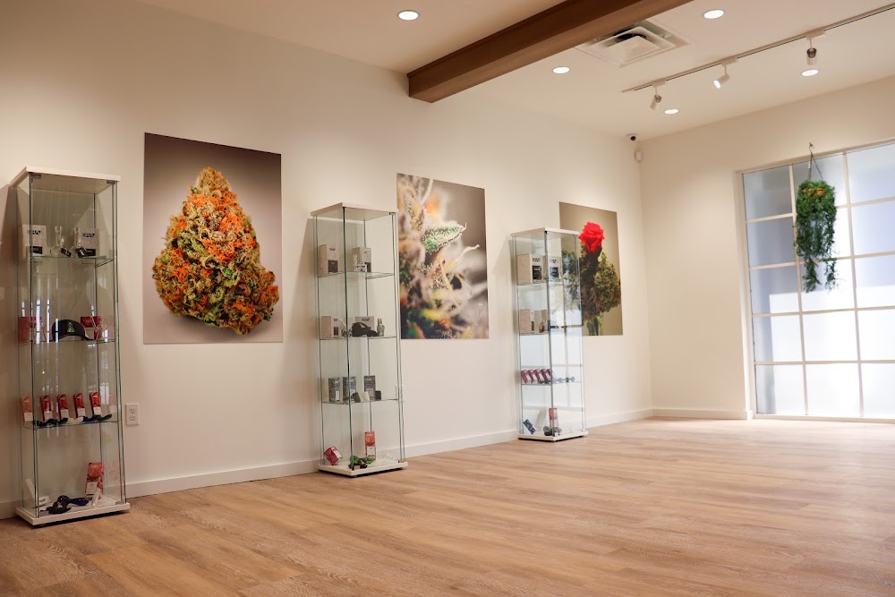 Sanctuary Cannabis photo 2