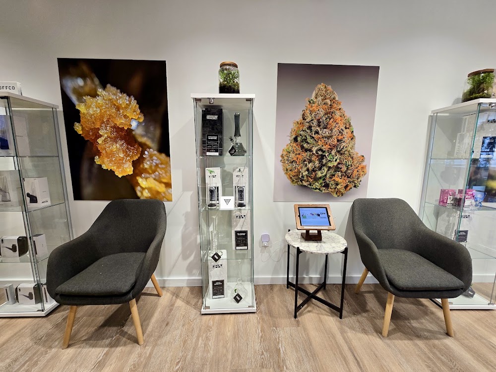 Sanctuary Cannabis photo 8