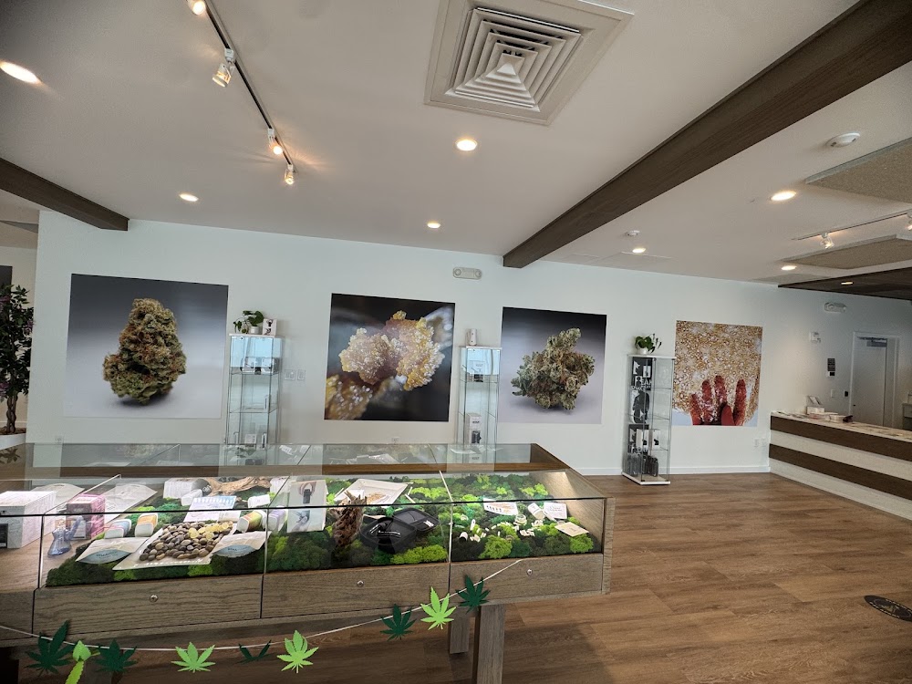 Sanctuary Cannabis photo 2