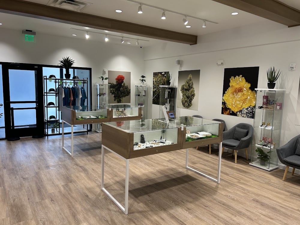 Sanctuary Cannabis photo 2