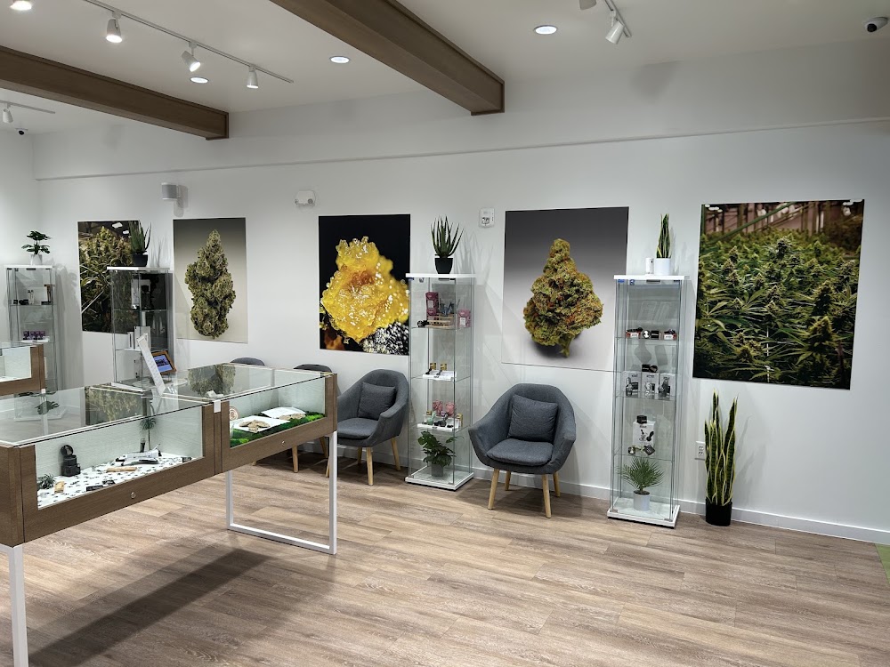Sanctuary Cannabis photo 4