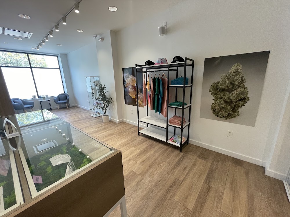 Sanctuary Cannabis photo 2