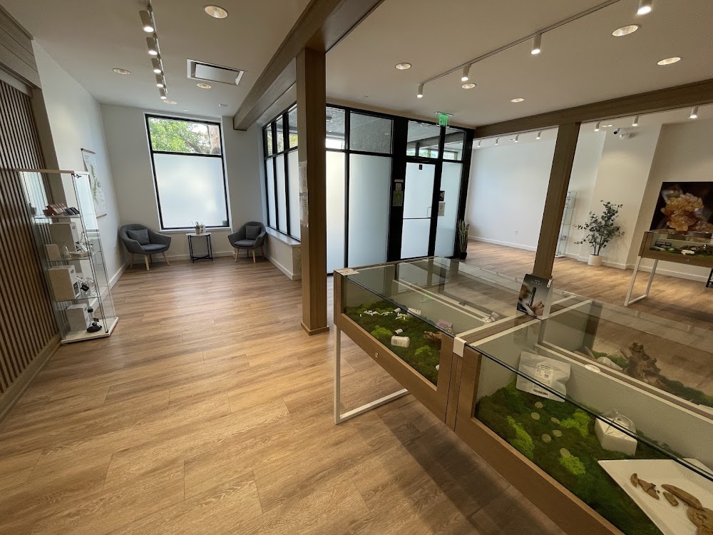 Sanctuary Cannabis photo 5