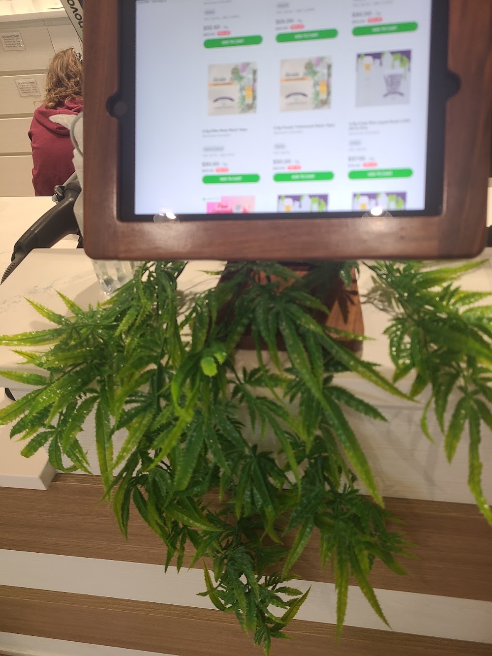 Sanctuary Cannabis photo 6