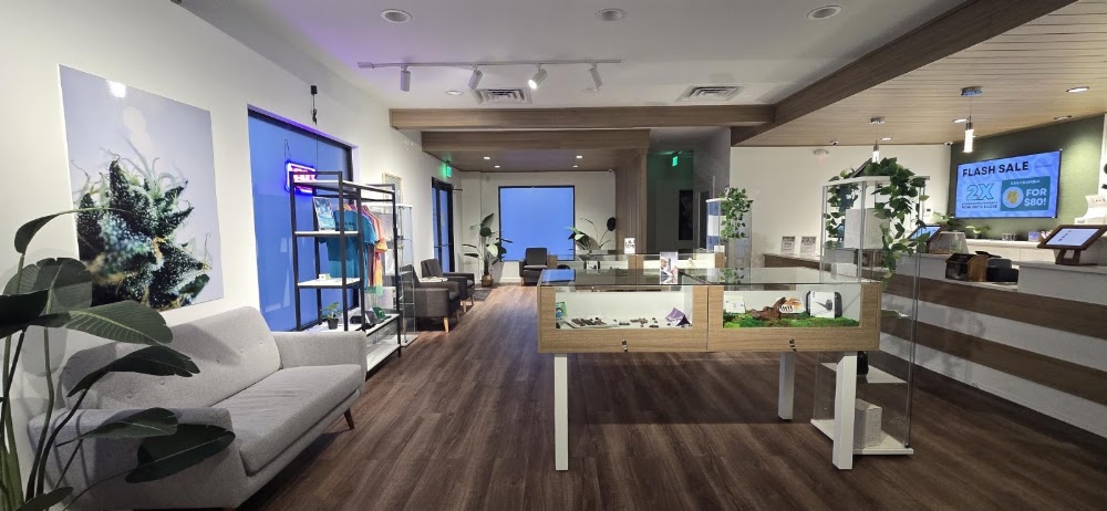 Sanctuary Cannabis photo 5