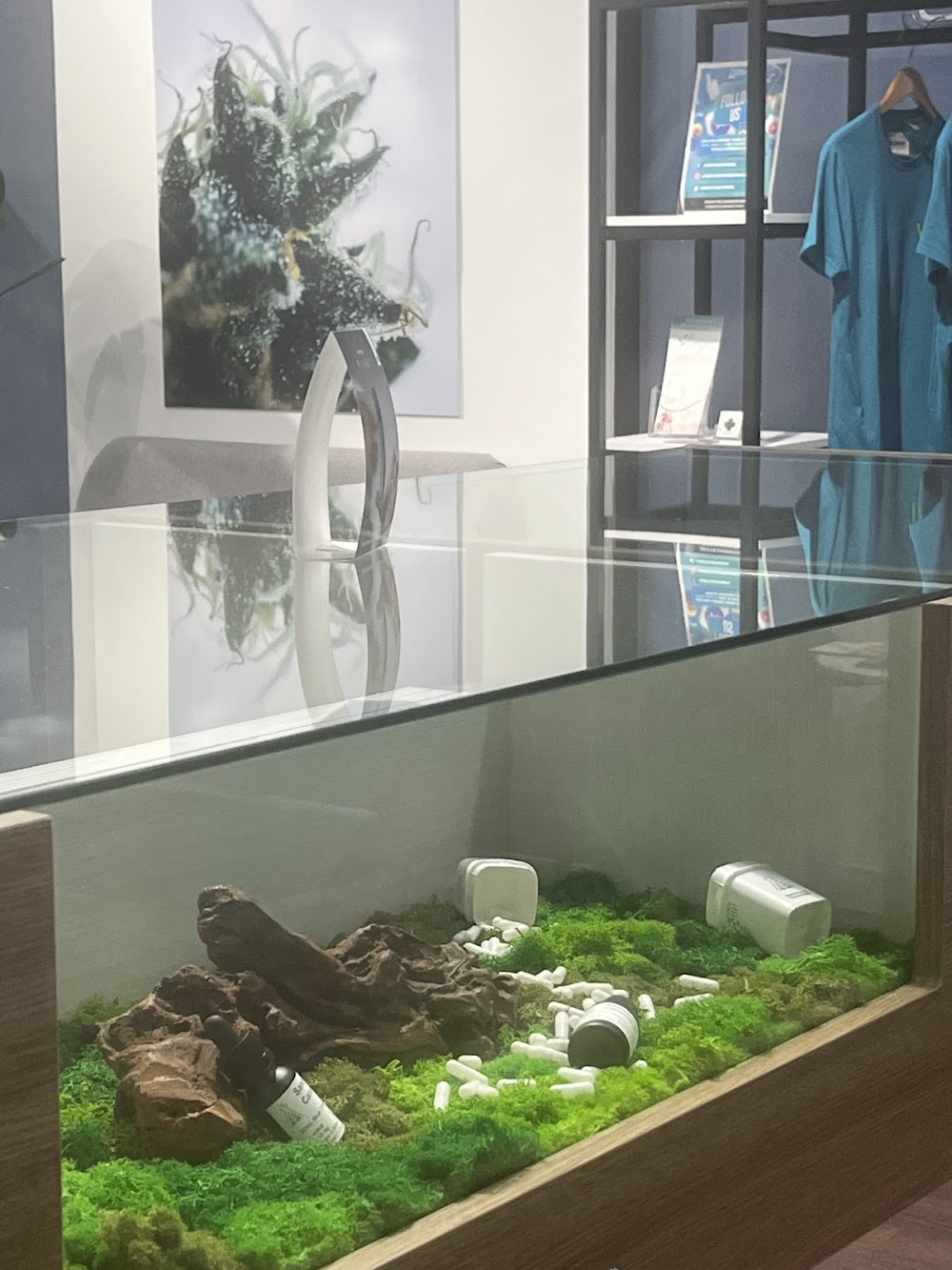 Sanctuary Cannabis photo 6