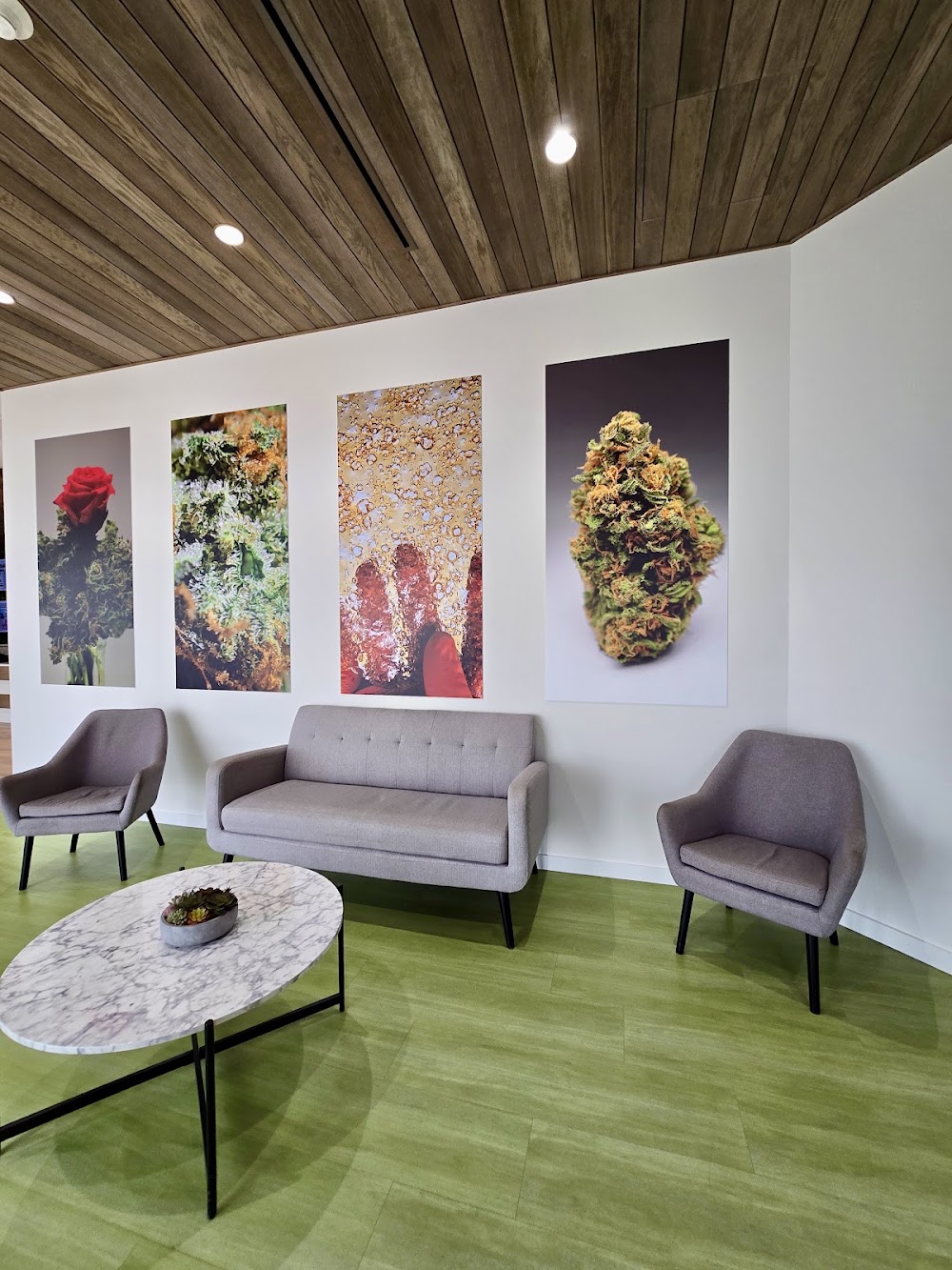 Sanctuary Cannabis photo 7