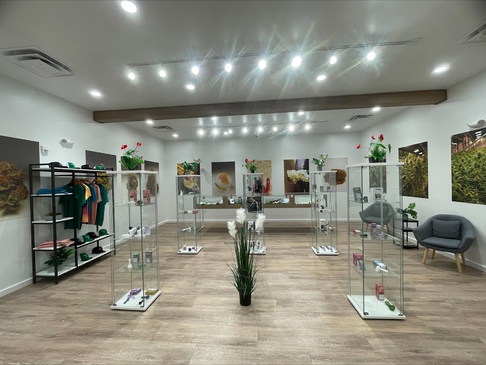 Sanctuary Cannabis photo 2