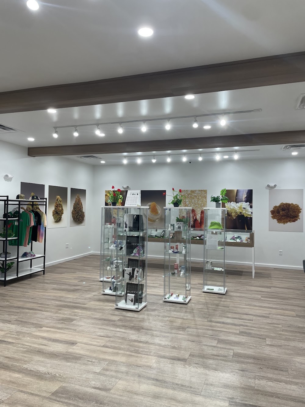 Sanctuary Cannabis photo 8