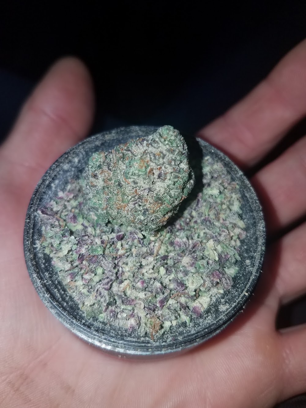 Sanctuary Medicinals photo 3