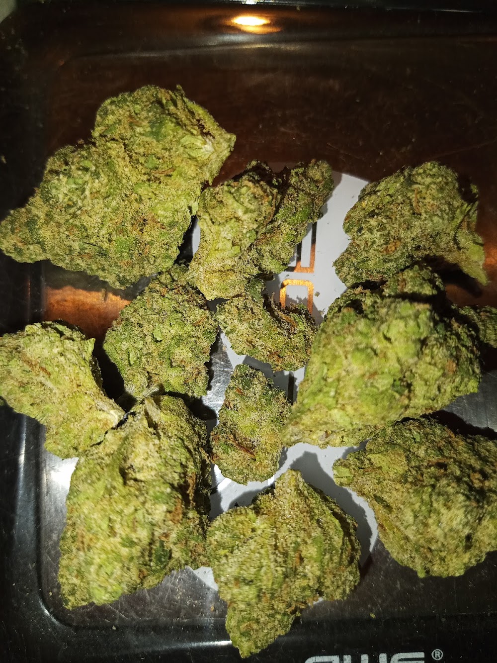 Sanctuary Medicinals photo 6