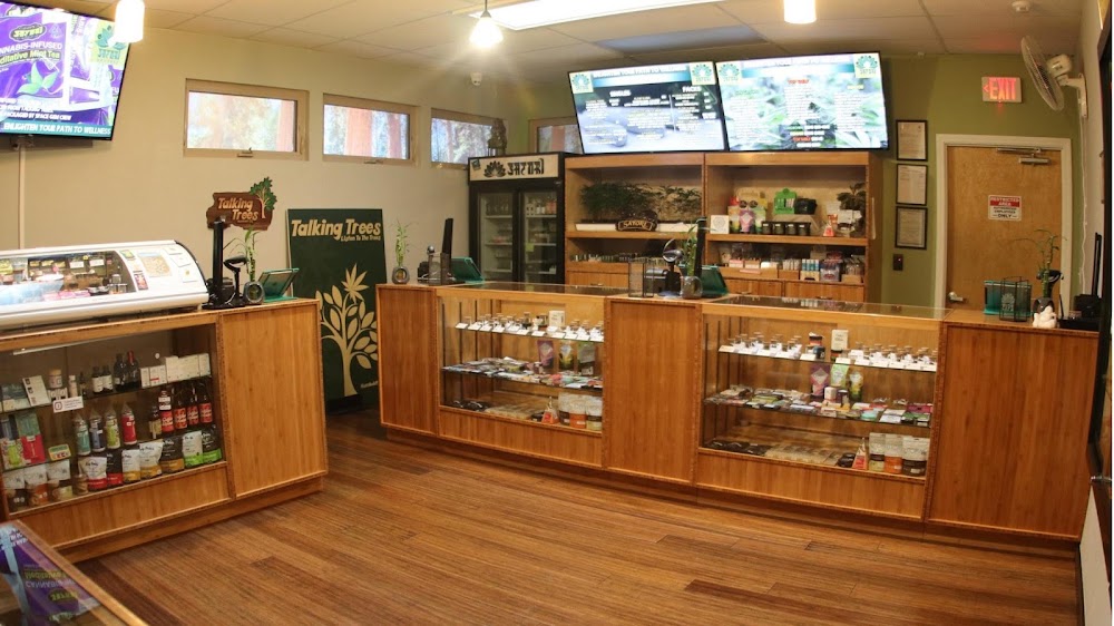 Satori Wellness photo 5