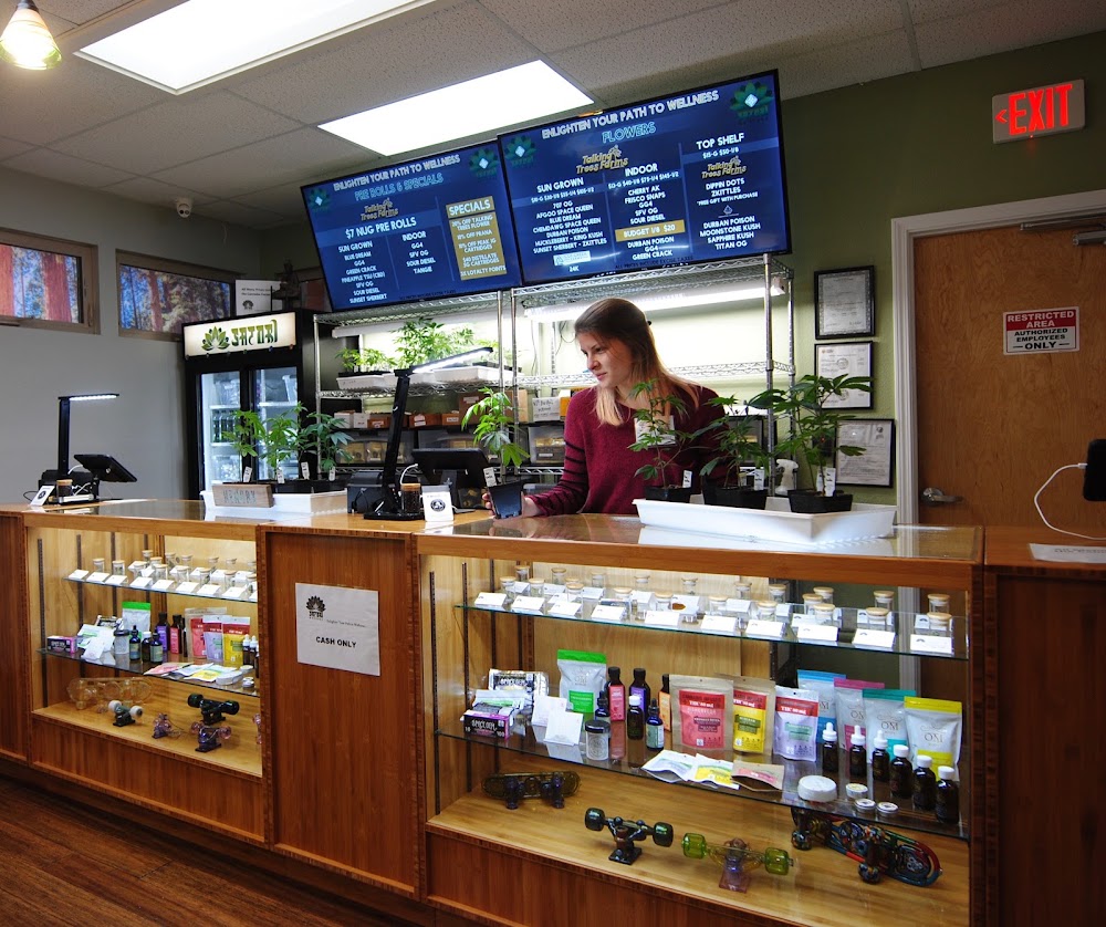 Satori Wellness photo 8