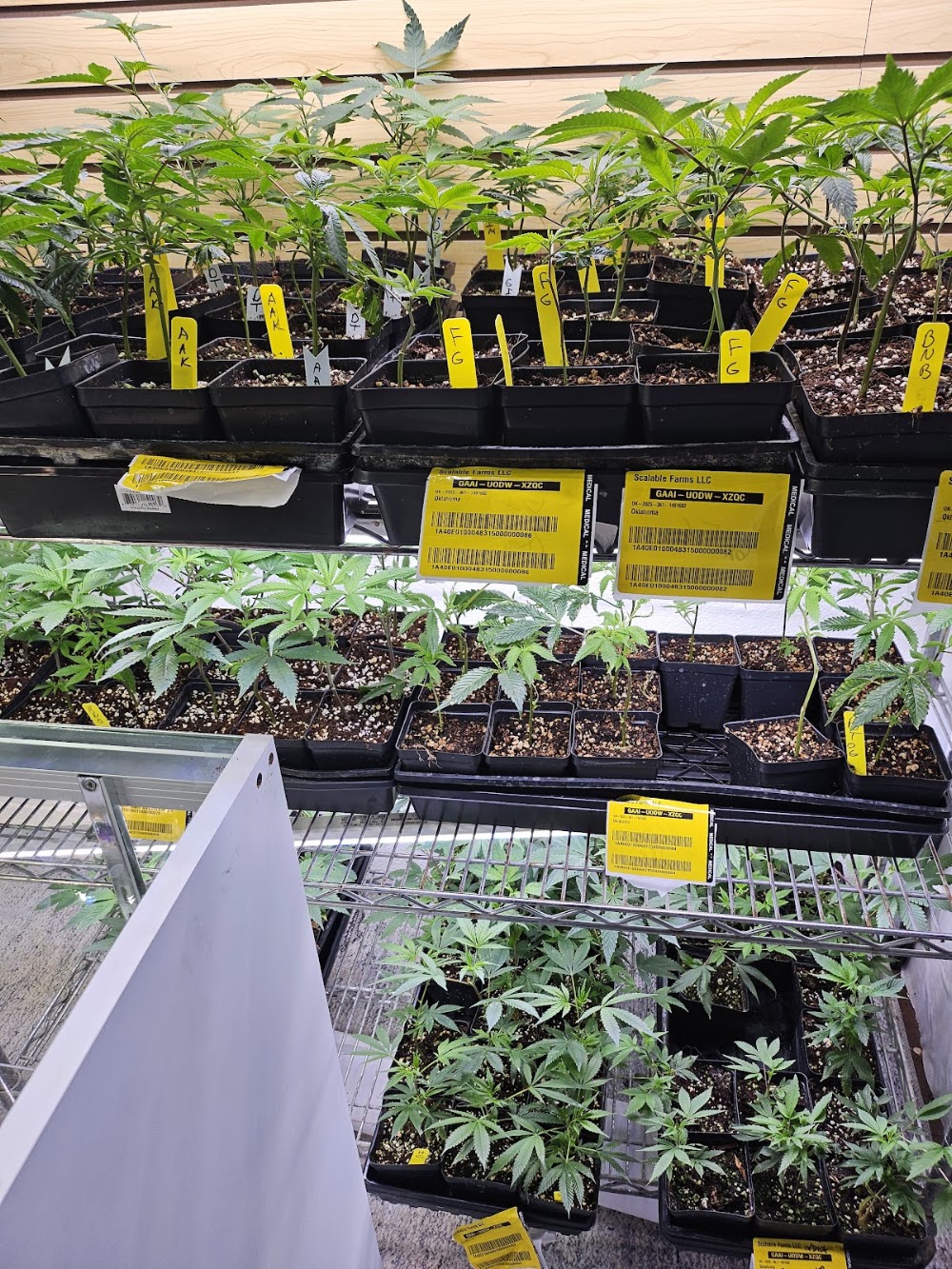 Scalable Farms photo 3