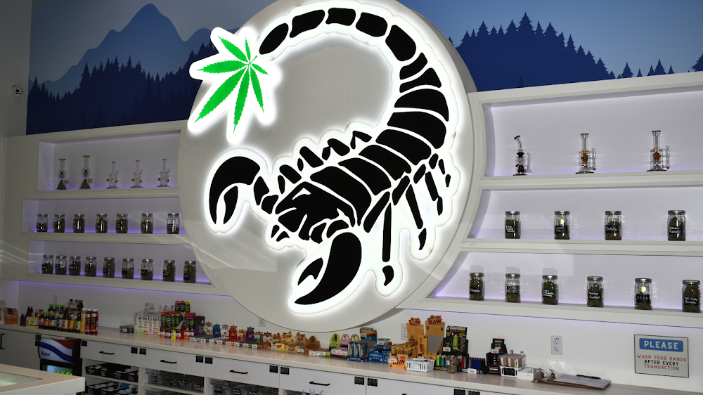 Scorpion Grass photo 5