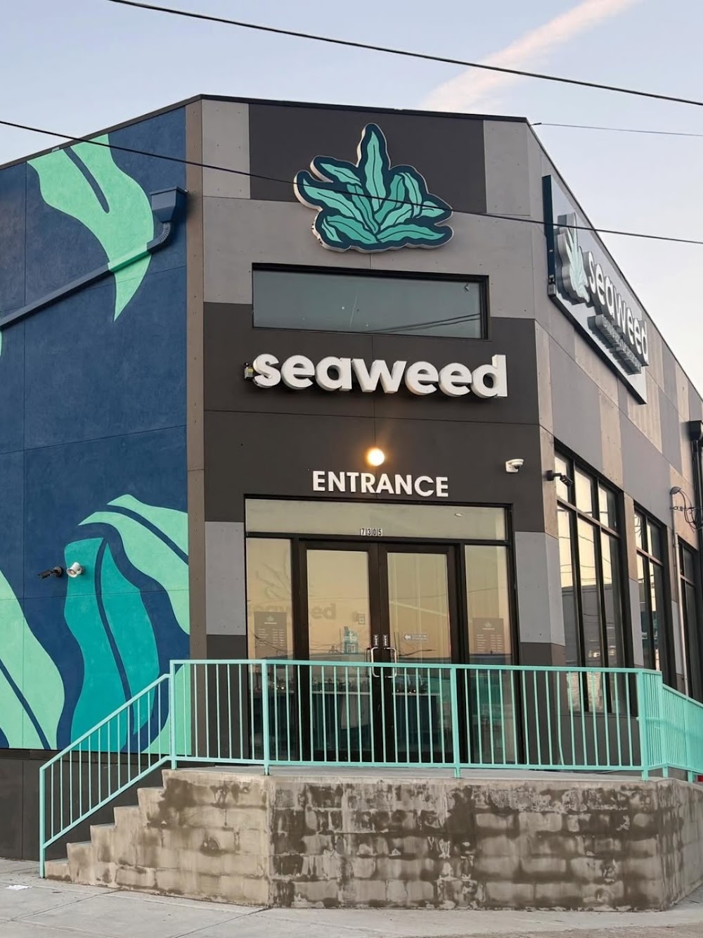 Seaweed Rbny photo 1