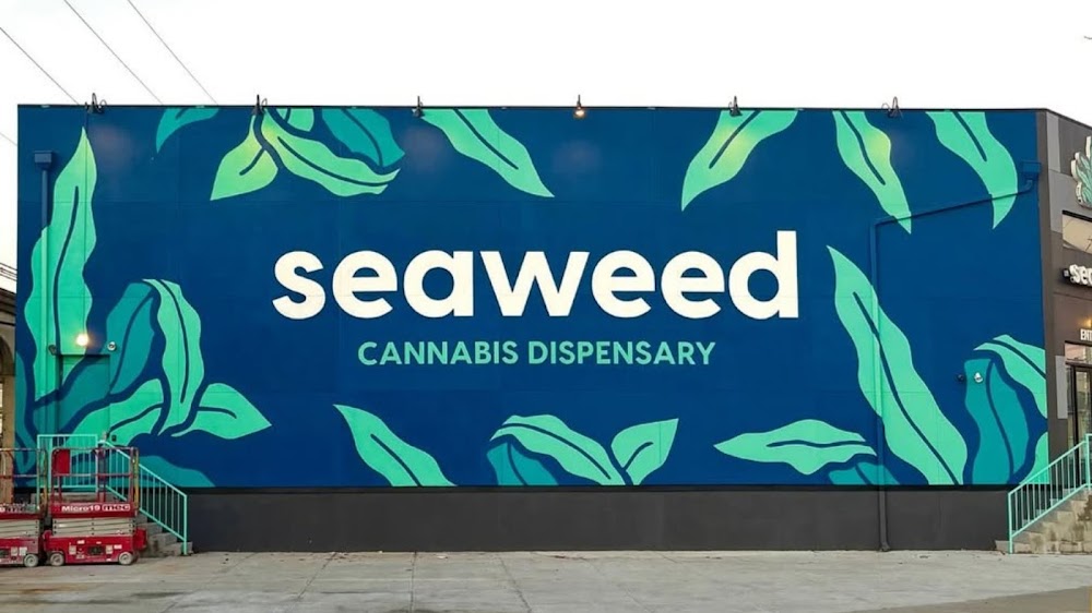Seaweed Rbny photo 2
