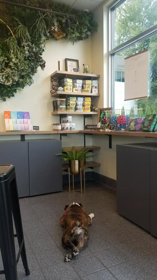 Seaweed Retail photo 8