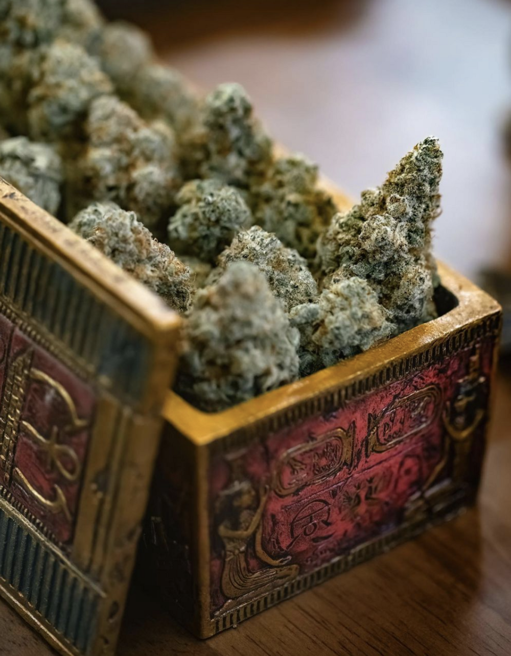 Secret Garden Cannabis photo 3