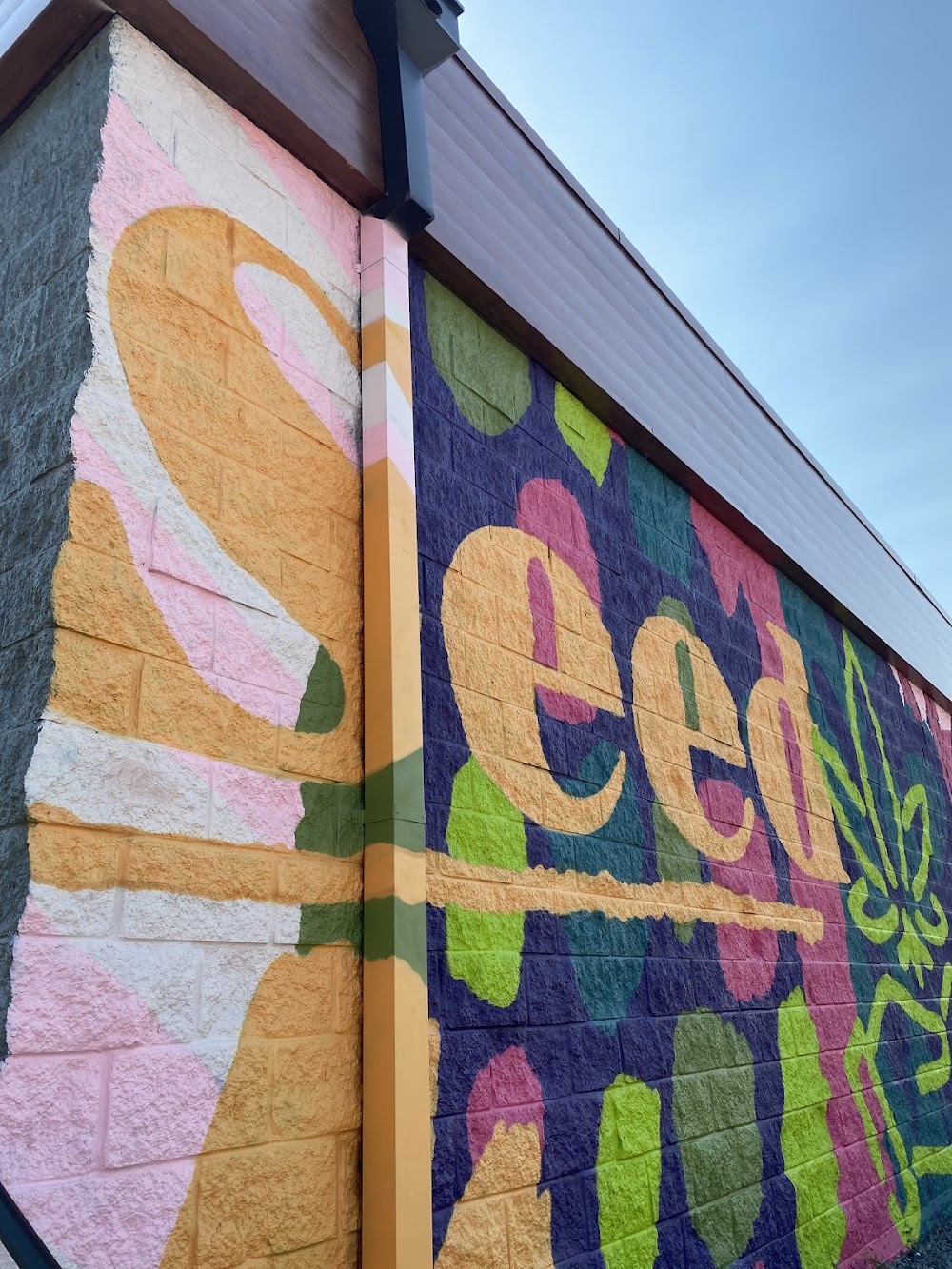 Seed – 71st & Riverside – Tulsa photo 6