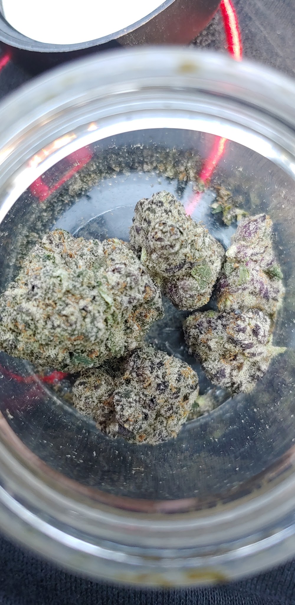 Seed Of Life Labs photo 3