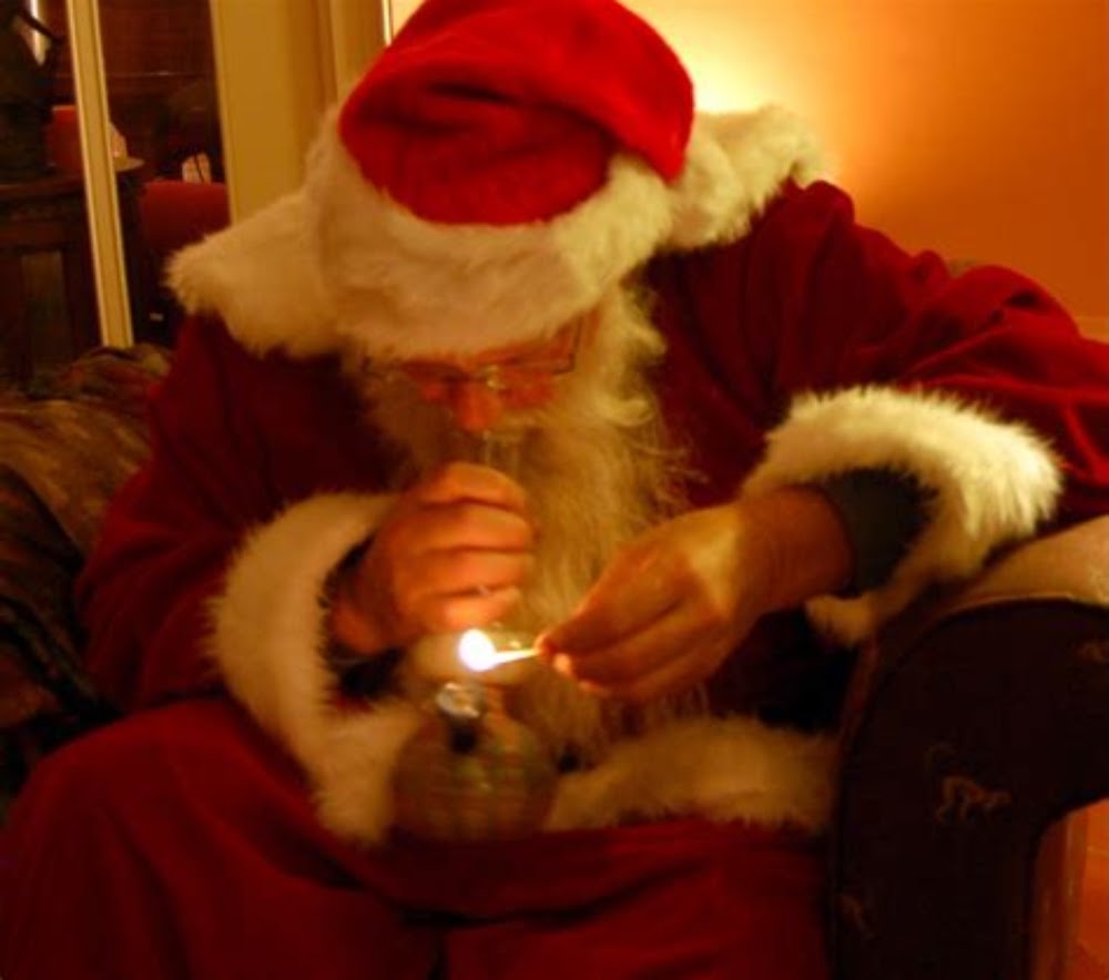 Sensible Cannabis Company photo 4