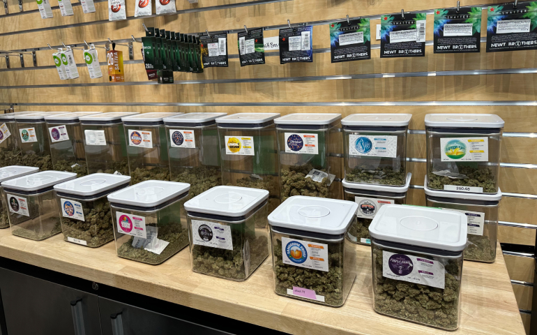 Silver Stem Fine Cannabis photo 6